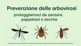 Immagine anteprima